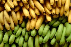Amazing Facts About Bananas