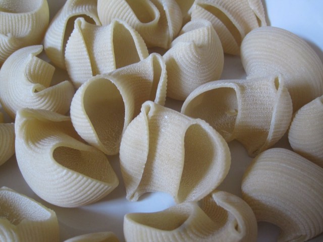 red and white pasta bake 005